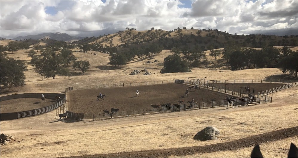 Ranch cattle pens