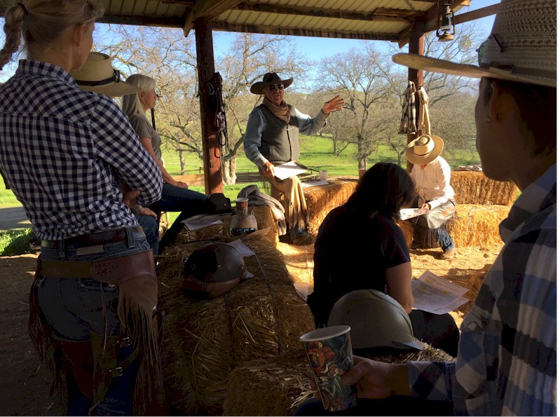 Morning talk from pole barn